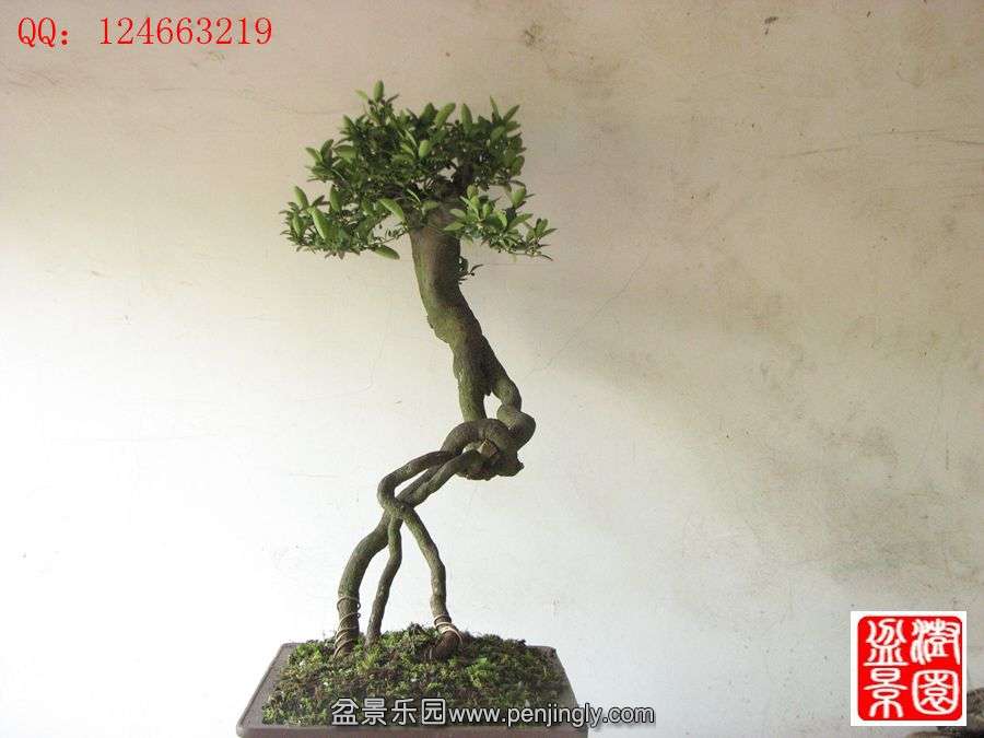 IMG_1698__.jpg