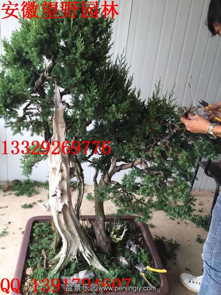 D9367BAE56876EA94BF03DC0A00D6F88.jpg