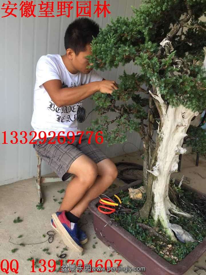 CA72BCF536AF5C3FD0F38513AC5AE187.jpg