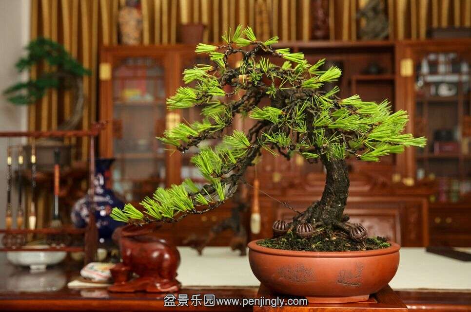 QQͼƬ20150824201148.jpg