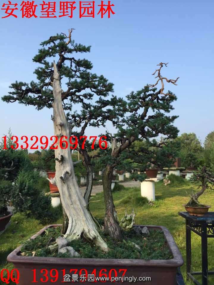 F23642E87A6C5BC6A6ED20E43BB5C0A1.jpg