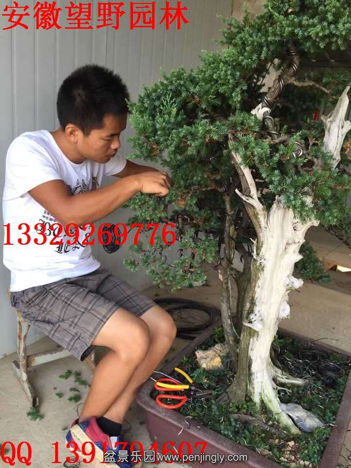 6F99DCC54FF2E16222CD0B8BB4D68EE1.jpg