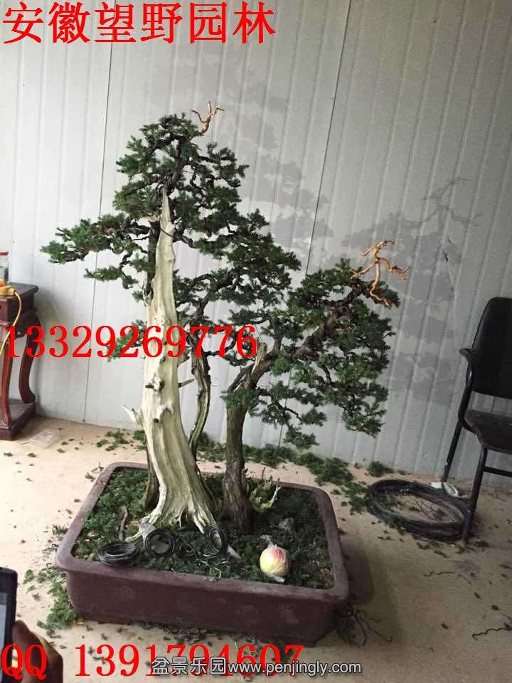 E680C2E16D6ED243205DE1963DBDFF8B.jpg