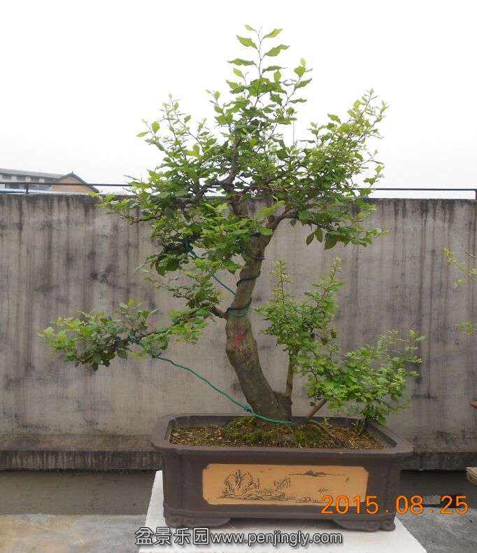 59÷ѻ1.jpg