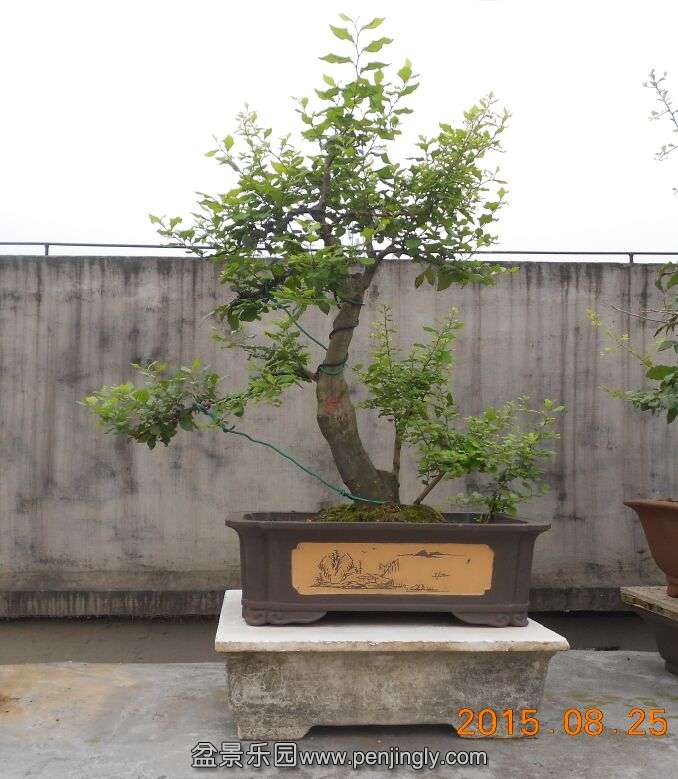 59÷ѻ2.jpg