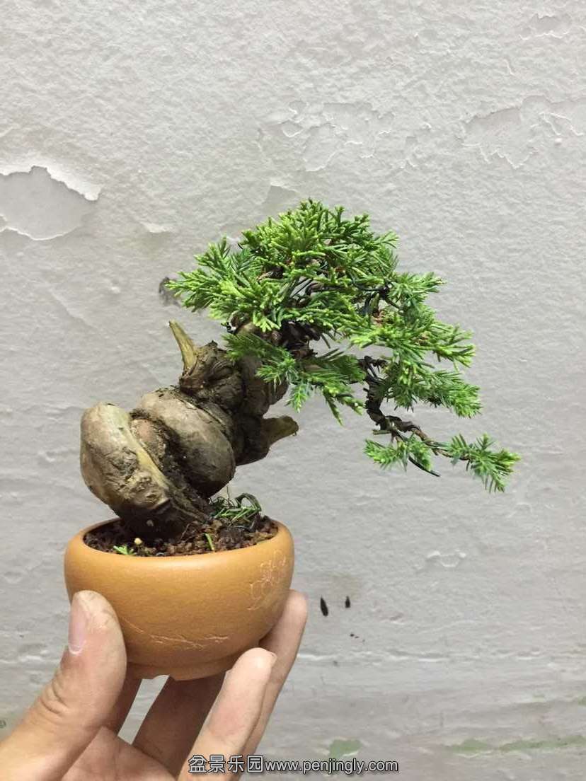 QQͼƬ20150826205014.jpg
