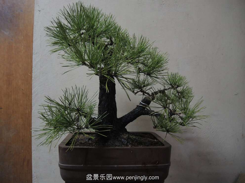 反面.JPG