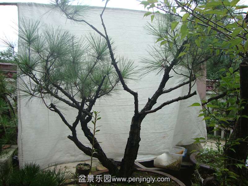 DSC03466_.jpg