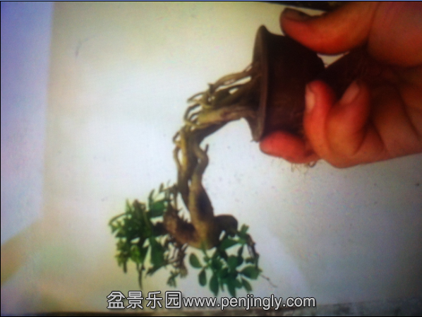 QQͼƬ20150827142247.png