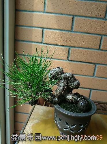 IMG_20150830_100939.jpg