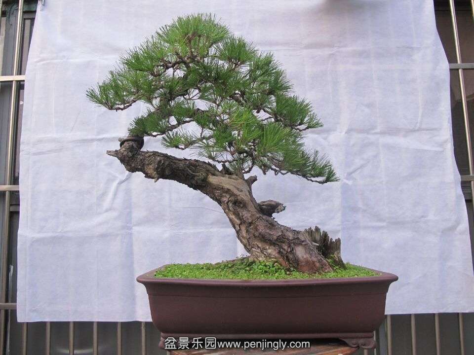 QQͼƬ20150831085531.jpg