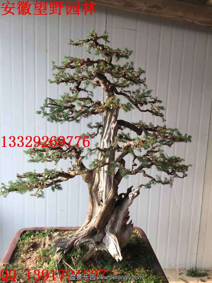 8E60B469EBDCE1B4D48A42A392AD08AC.jpg