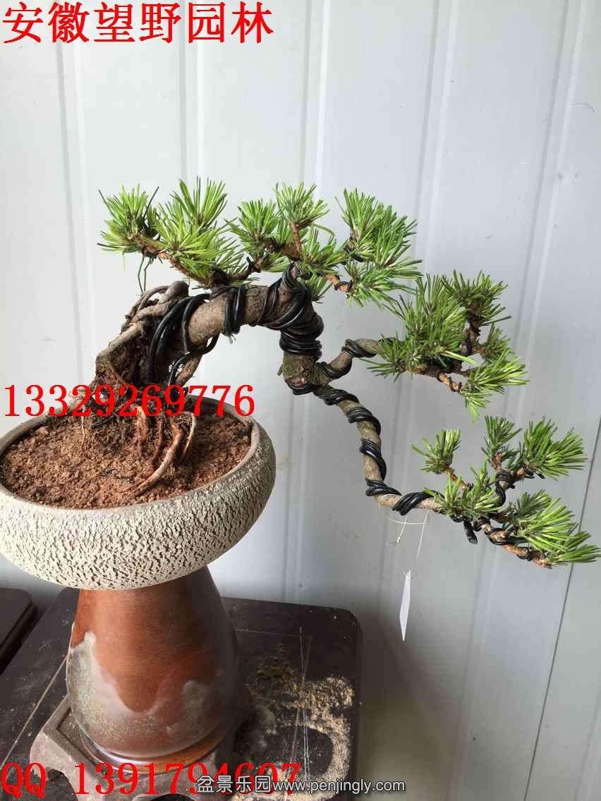 27270C3EFB70A635ACB855B7FCDE26CB.jpg