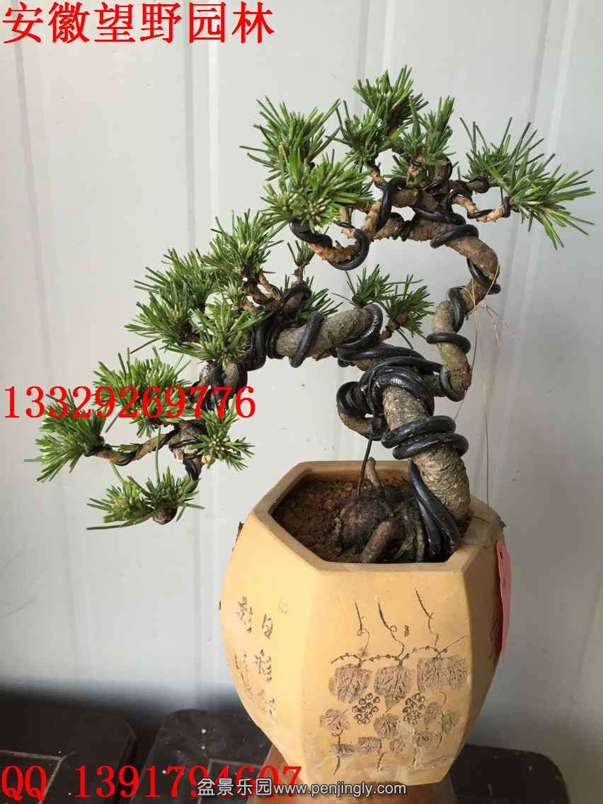 E94838F406F07BCEE80AB8E069F60459.jpg