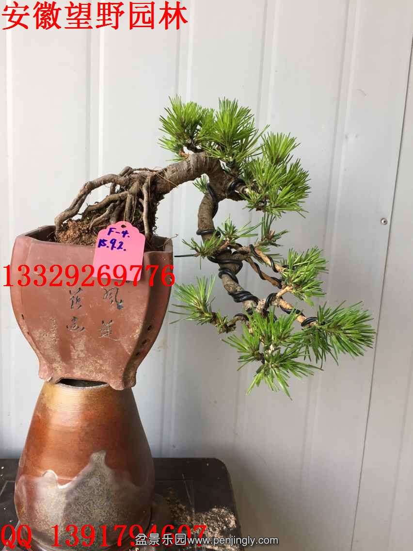 EB2593EAA7F34EA635CA11D52F951337.jpg