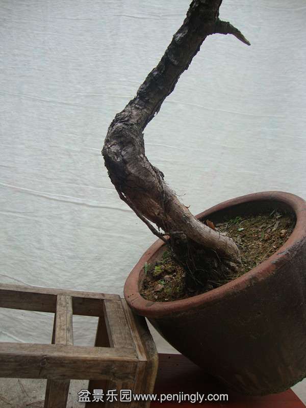 DSC03500_.jpg