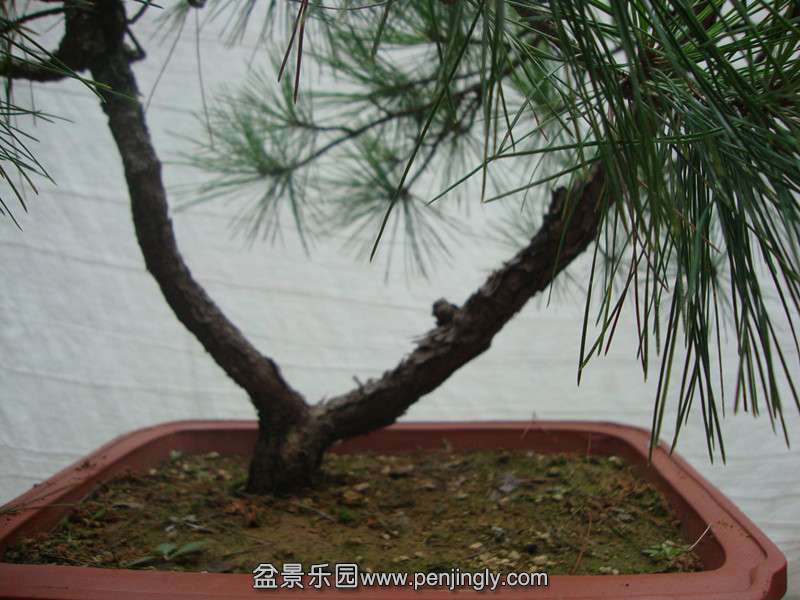 DSC03512_.jpg