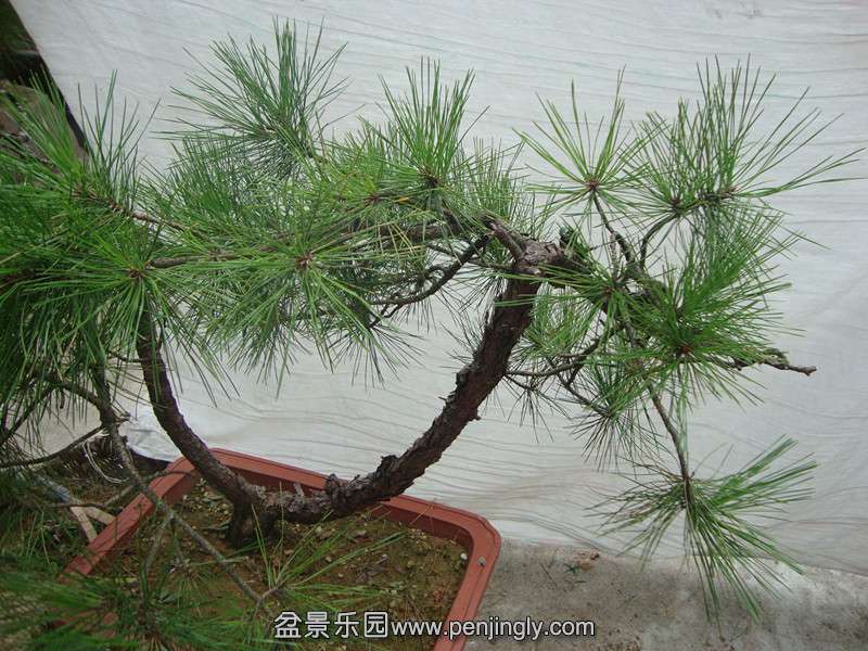 DSC03513_.jpg