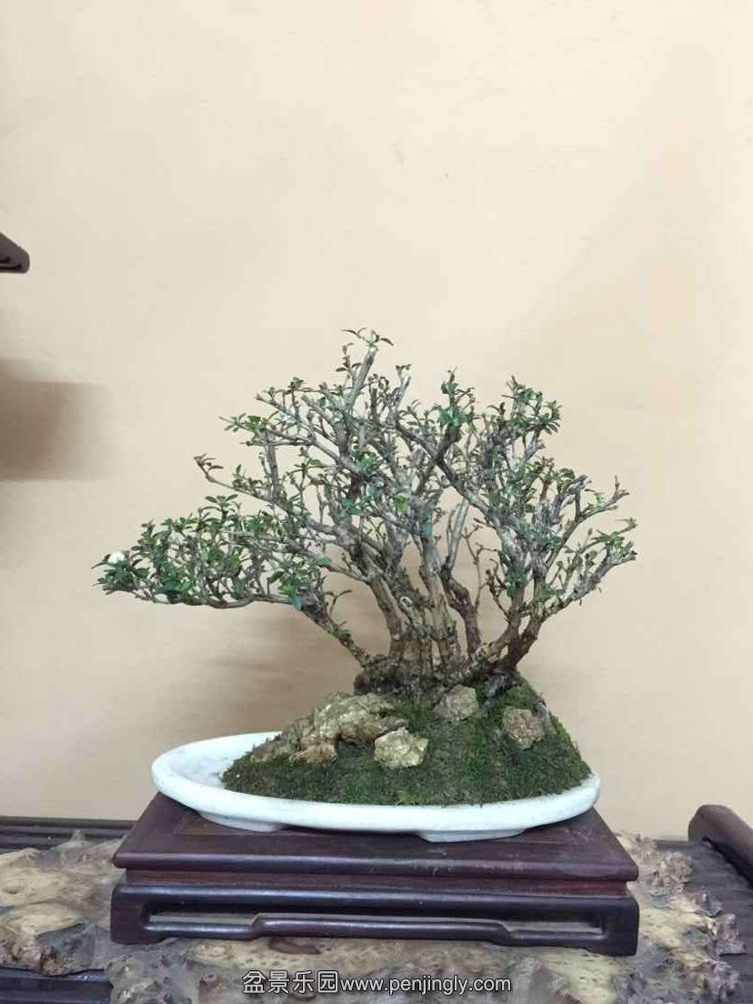 QQͼƬ20150908195018.jpg