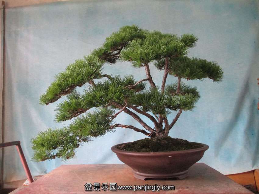 IMG_34620_看图王.jpg