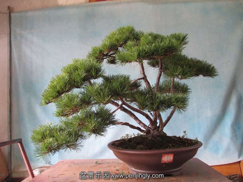 IMG_34610_看图王.jpg