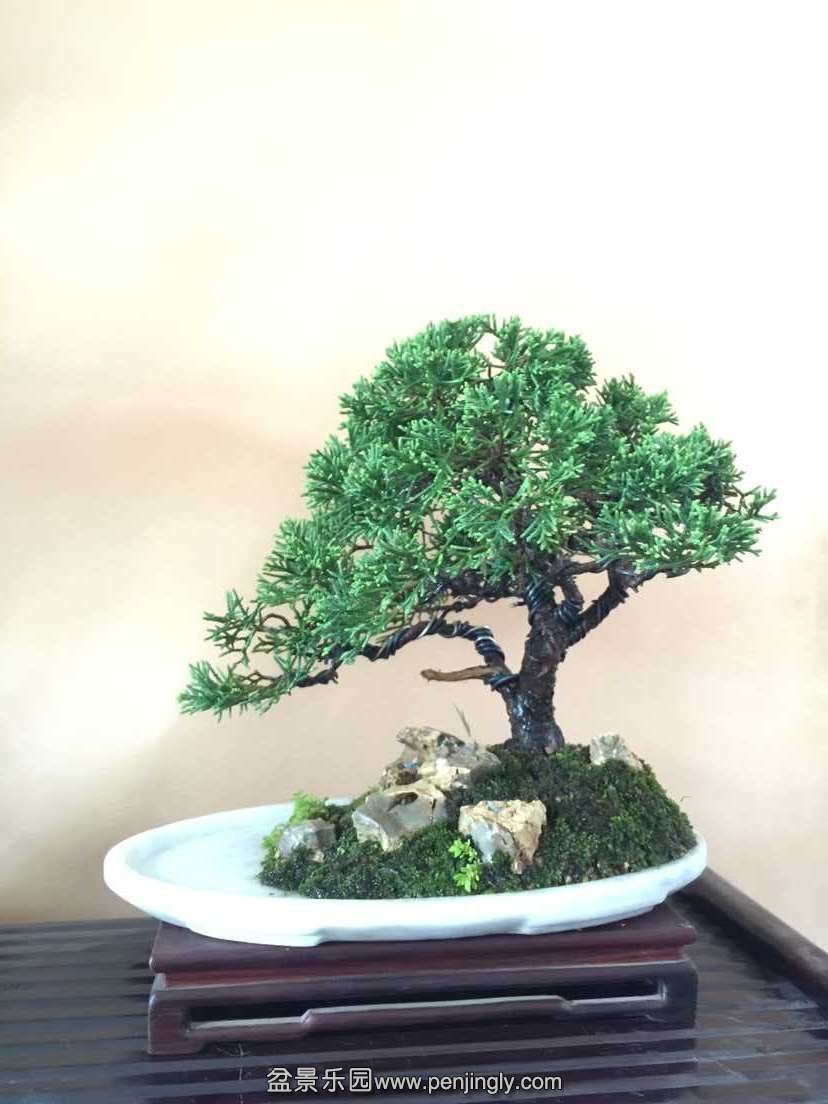 QQͼƬ20150909111117.jpg
