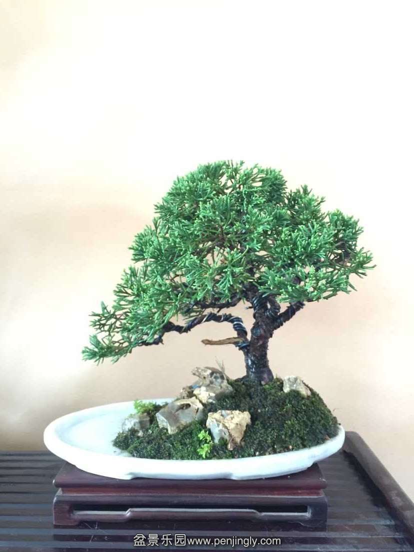 QQͼƬ20150909111138.jpg