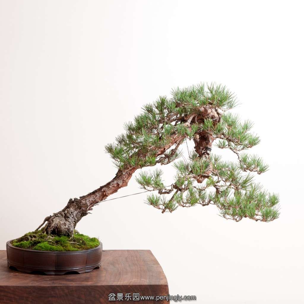 conew_14_0319_studio-012.jpg