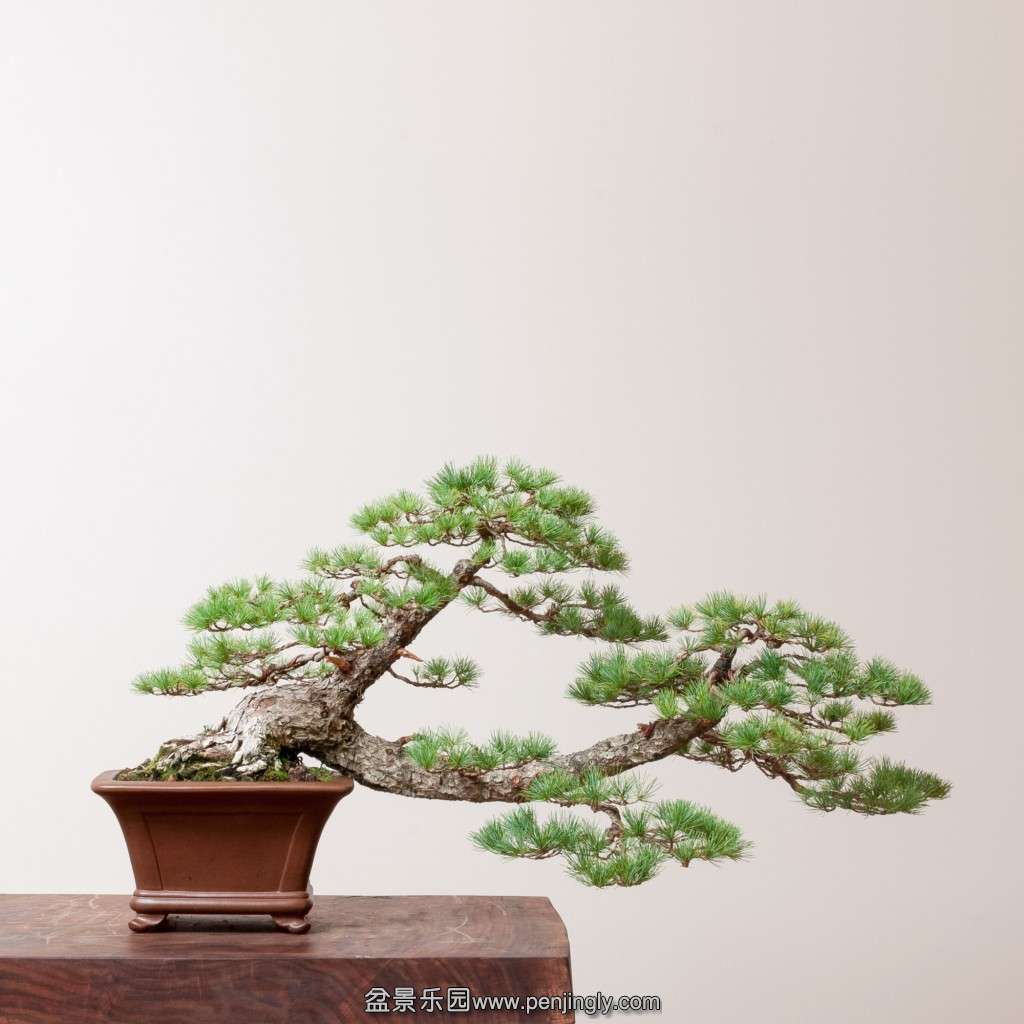 conew_14_0319_studio-806_0.jpg