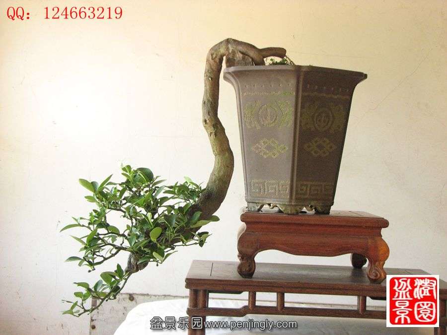IMG_1738__.jpg