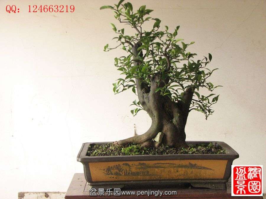 IMG_1805__.jpg