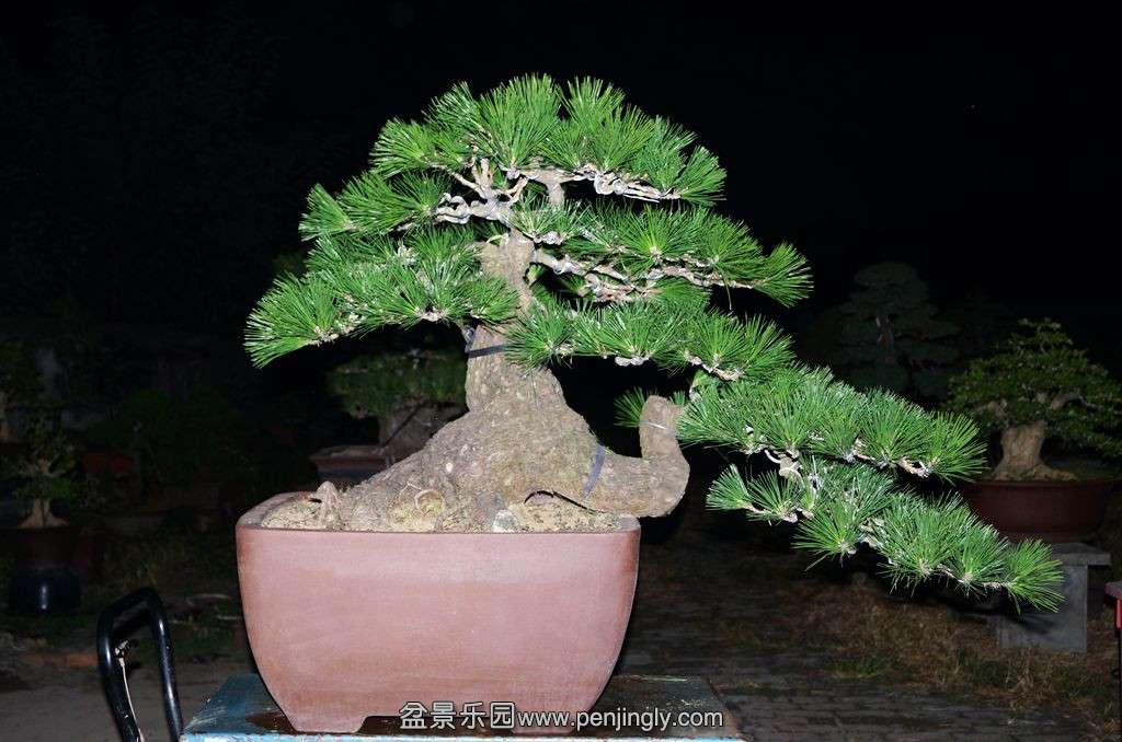 368.jpg