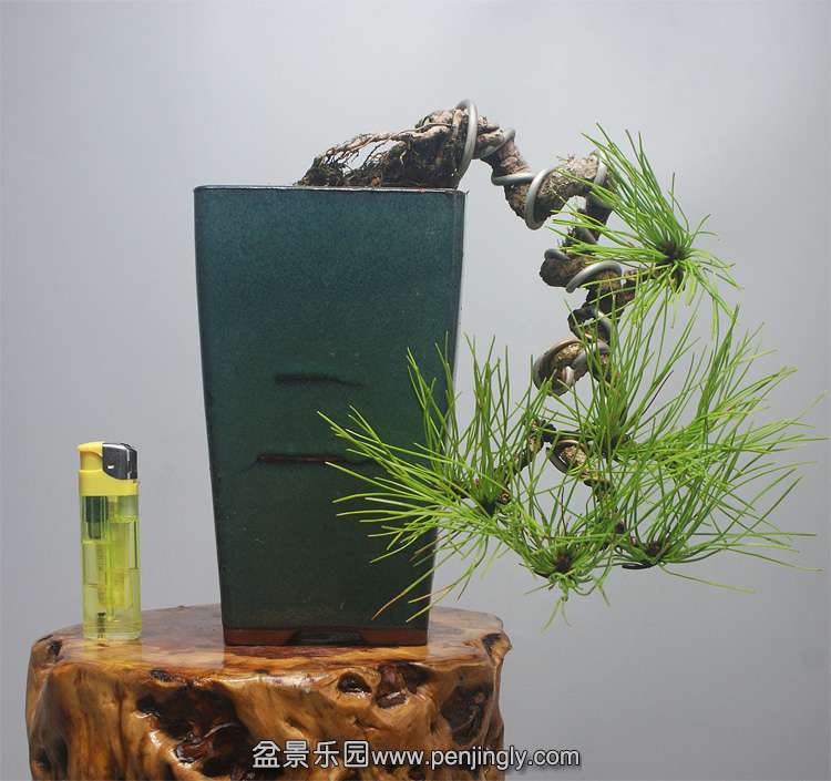 未标题-1.jpg