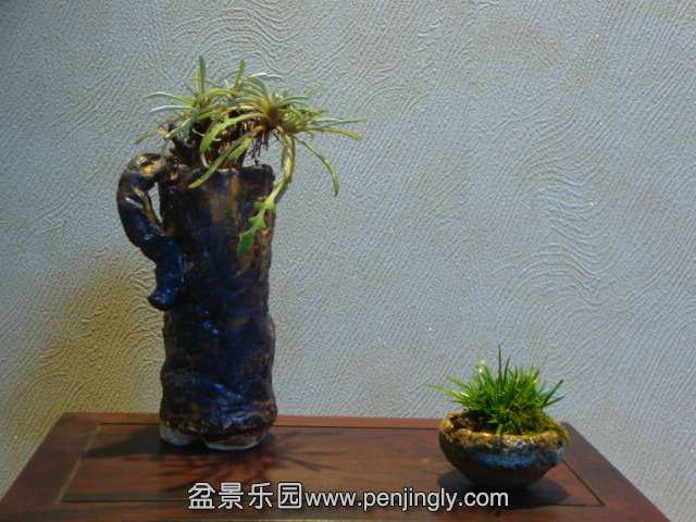 DSC01747.JPG