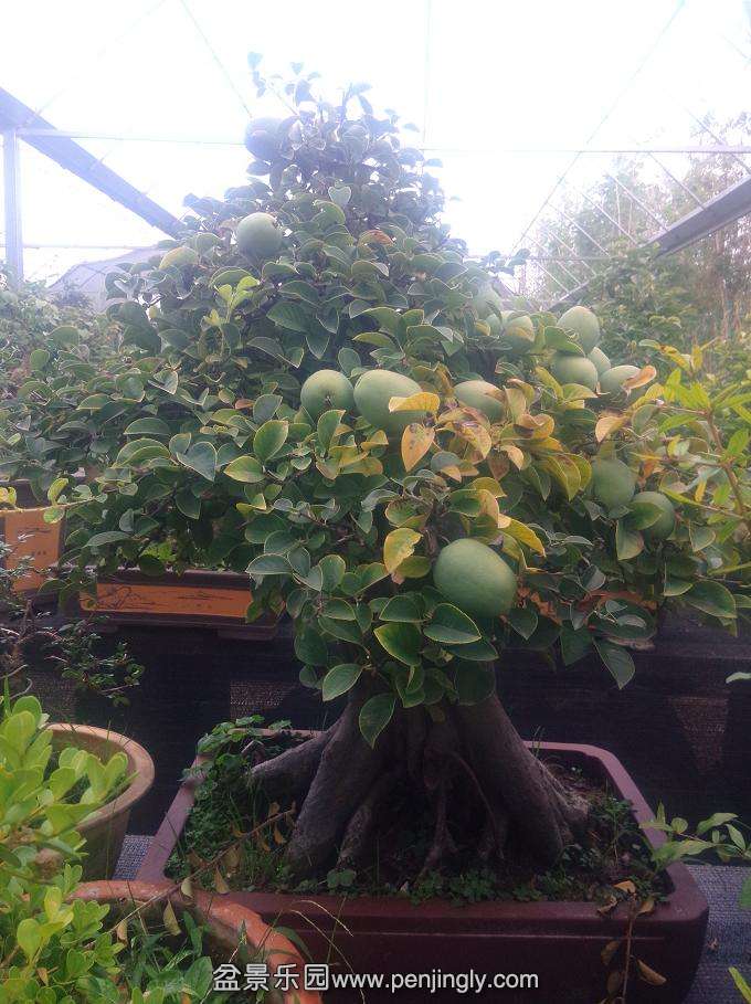 IMG20150905175356.jpg