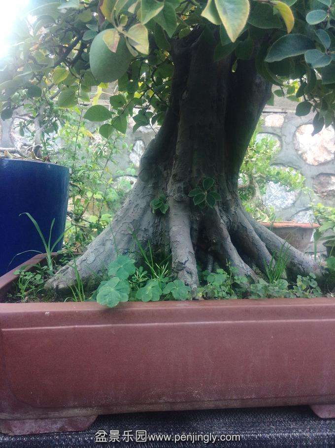 IMG20150905175323.jpg