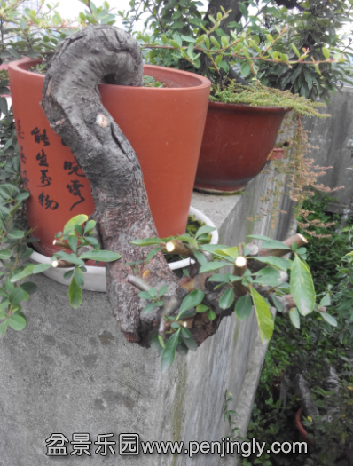 QQͼƬ20150926231731.png