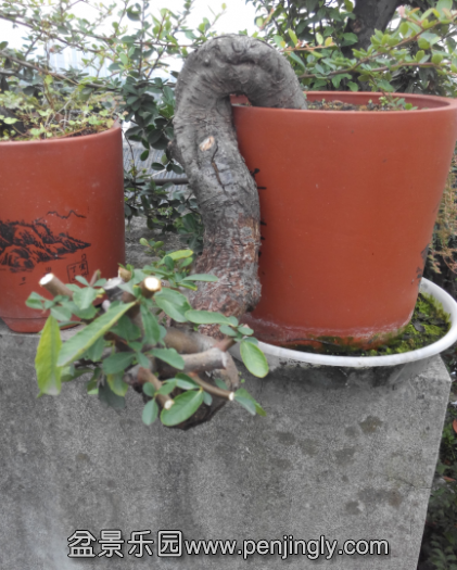 QQͼƬ20150926231701.png