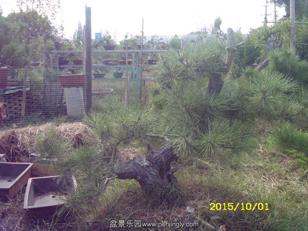 ST831888.JPG