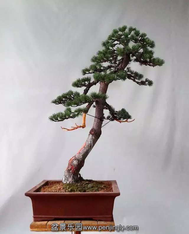 psb (15).jpg