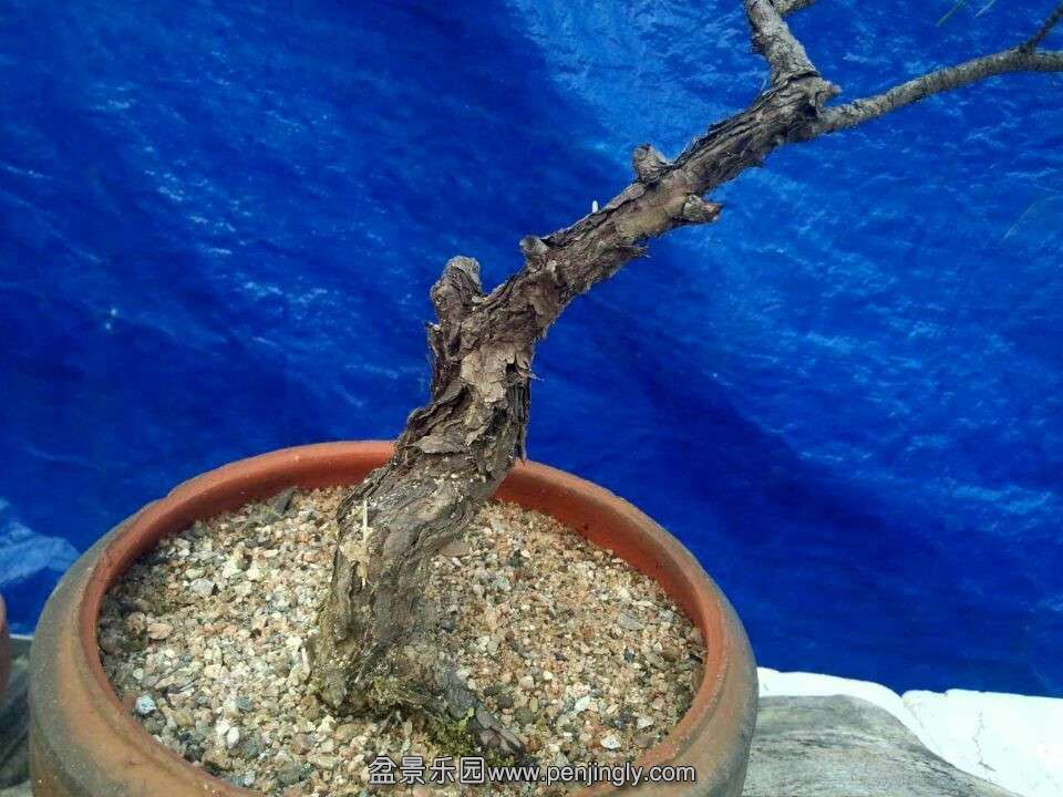 QQͼƬ20151005083808.jpg