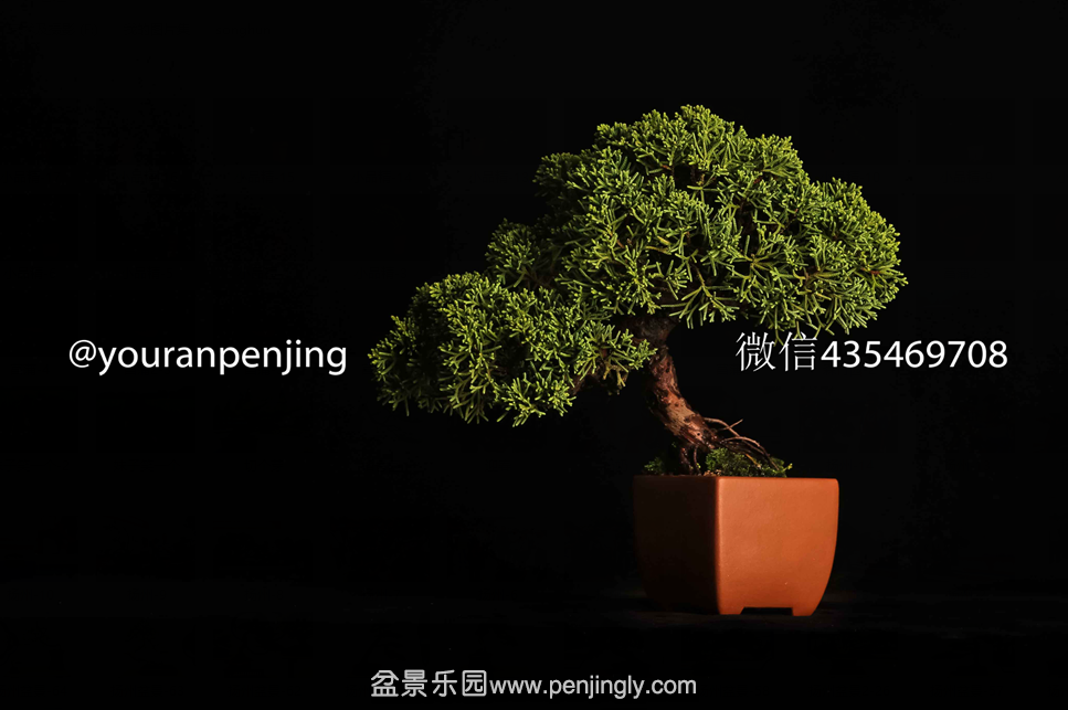 QQͼƬ20151005161158.png