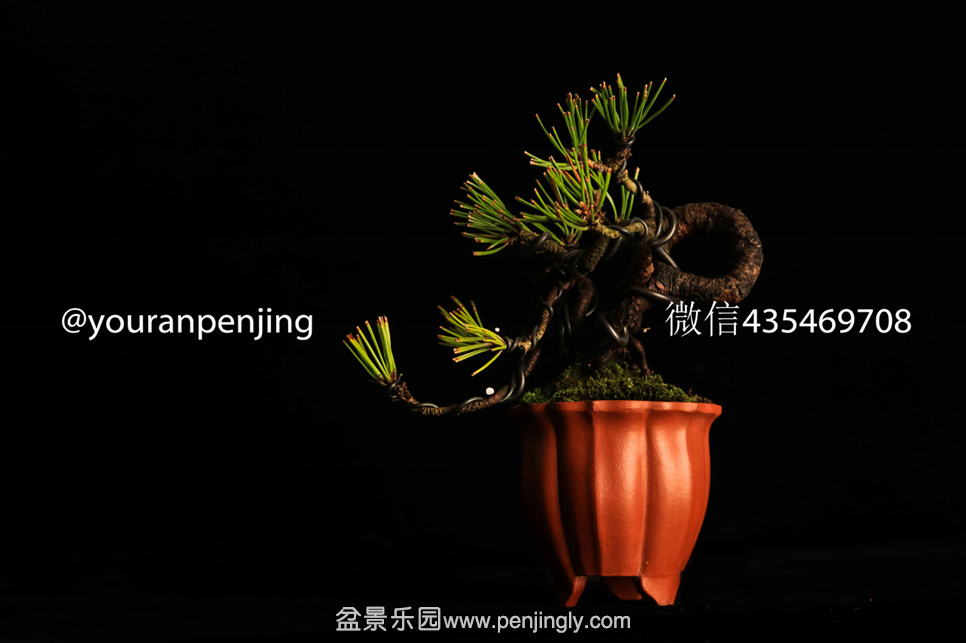 QQͼƬ20151005162838.png