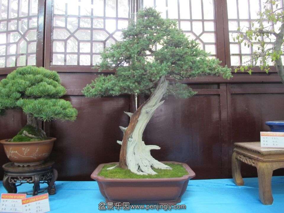 55.jpg