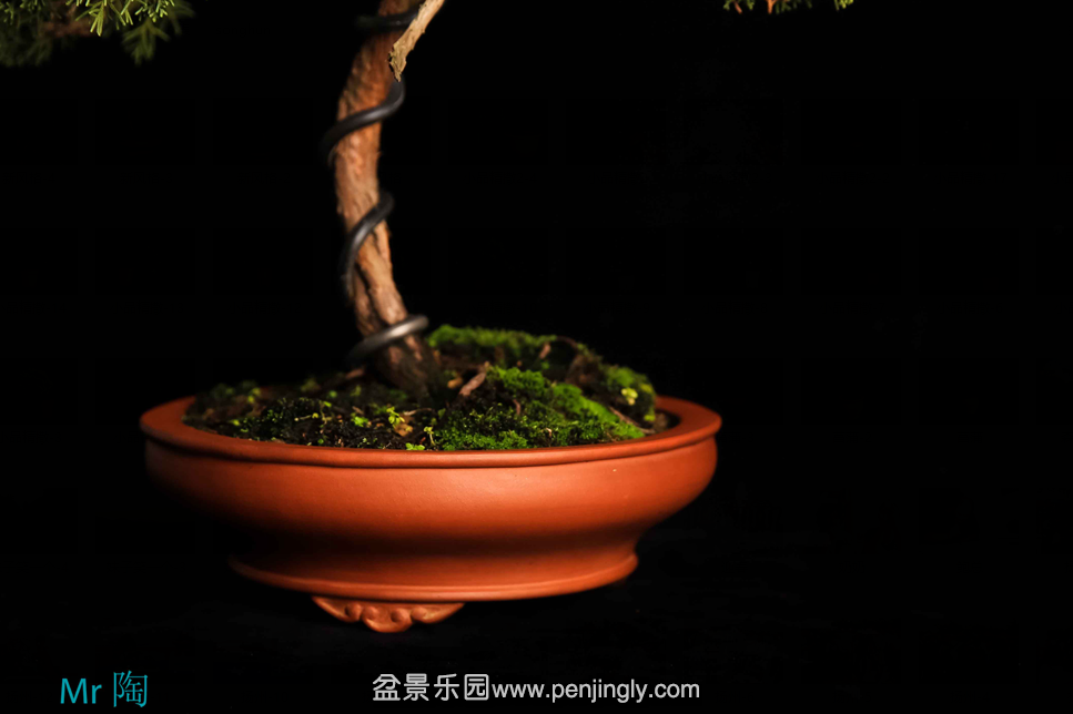 QQͼƬ20151008211126.png