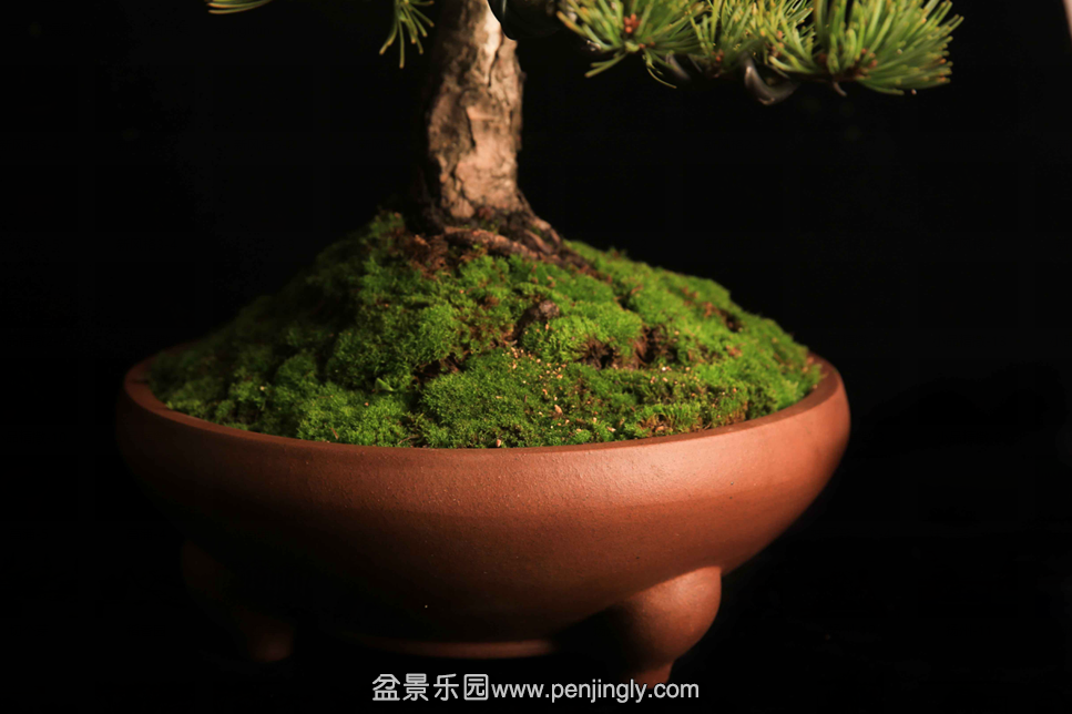 QQͼƬ20151010144814.png