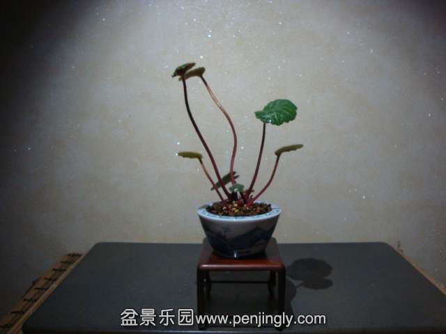 DSC01878.JPG