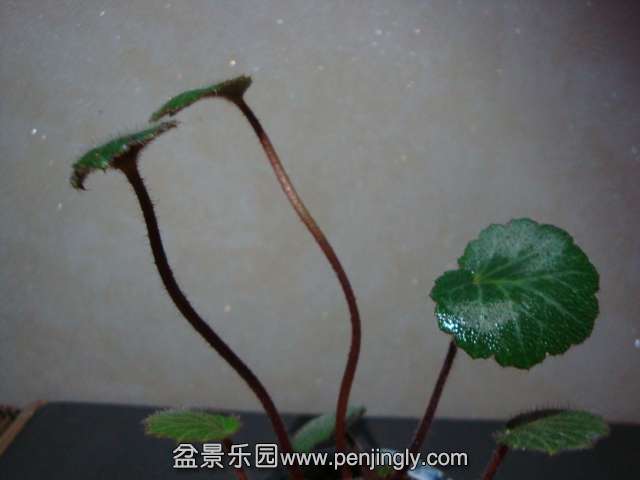 DSC01879.JPG