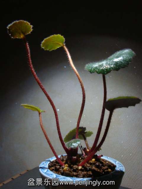 DSC01880.JPG