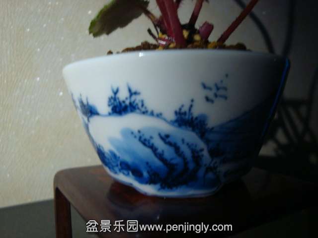 DSC01881.JPG